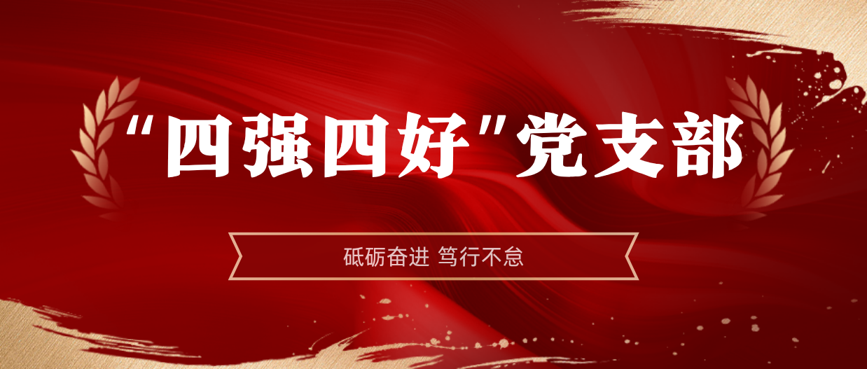 弘揚榜樣精神 | 海南礦業2024-2025年度“四強四好”黨支部
