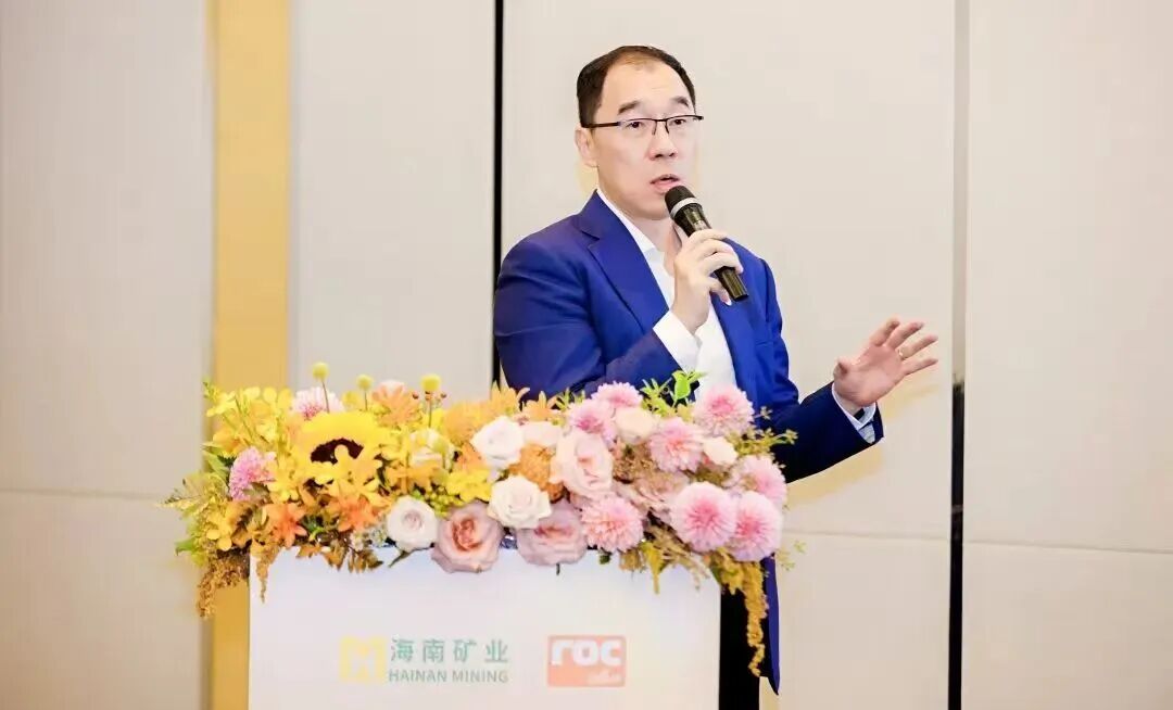 海南礦業董事長滕磊：借自貿港政策打通跨境資金鏈 構建“海外資源+海南加工”模式